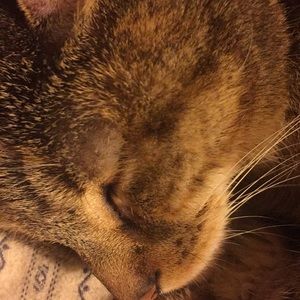 Meet your Posher, Catherine